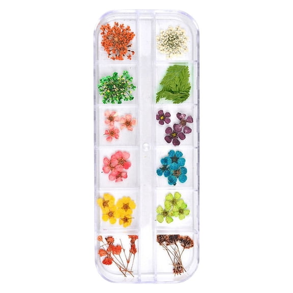 Beauty Clearance Under $15 12 Colors Decoration Real Dry Dried Flower For Gel Acrylic Nail Art Tips Multicolor