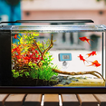 thumbnail image 5 of Aquarium Thermometer Lcd Digital Waterproof Thermometer With Suction Cup Fish Tank Water Temperature Thermometer For Fish Tank Aquarium, 5 of 5