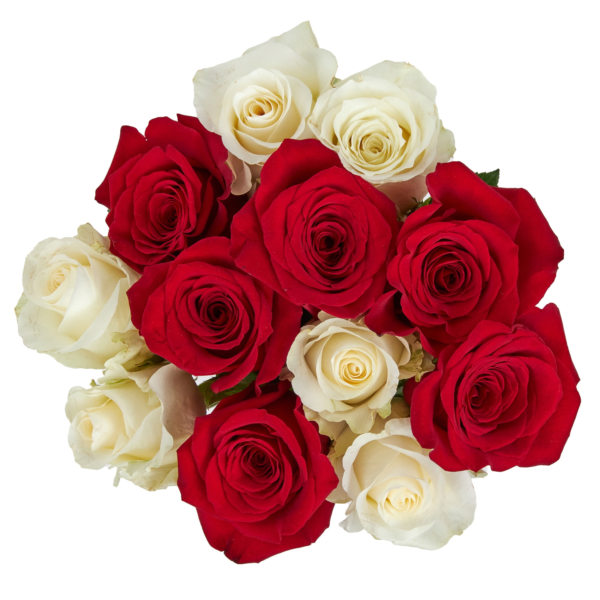 Dozen Rainbow Roses, Colors May Vary