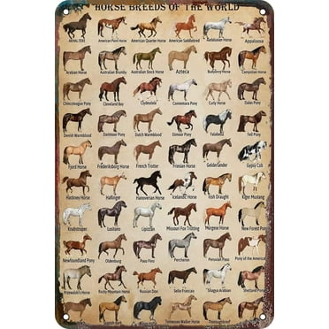 FABSURE Funny Metal Tin Sign Horse Knowledge Horse Breeds Of The World Tin Sign, Wall Decor for Bakery Kitchen Cafe 8x12 Inch