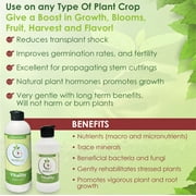 VermisTerra Vitality - 16 oz Worm Castings Super Concentrate, Plant Food, Promotes Health and Amazing Growth for Vegetables, Fruit, Houseplants - Non-Toxic, Living Enzymes, Gentle - Will Not Burn