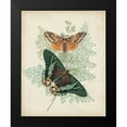 thumbnail image 2 of Vision Studio 12x14 Black Modern Framed Museum Art Print Titled - Butterflies and Ferns I, 2 of 5