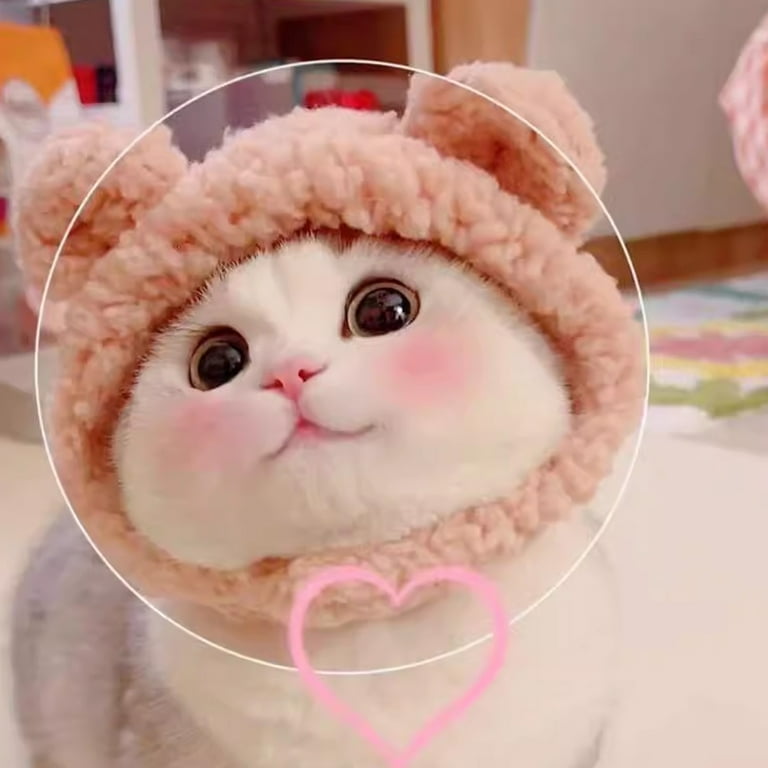 Cute Bear Shaped Cat Hat, Plush Warm Pet Head Cover, Cat Headgear