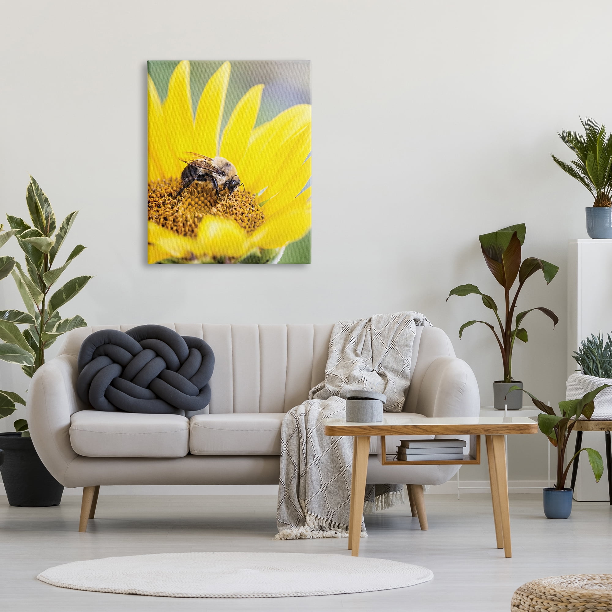 Stupell Industries Bee & Sunflower Photography Animals & Insects Photography Gallery Wrapped Canvas Print Wall Art, 30 x 40