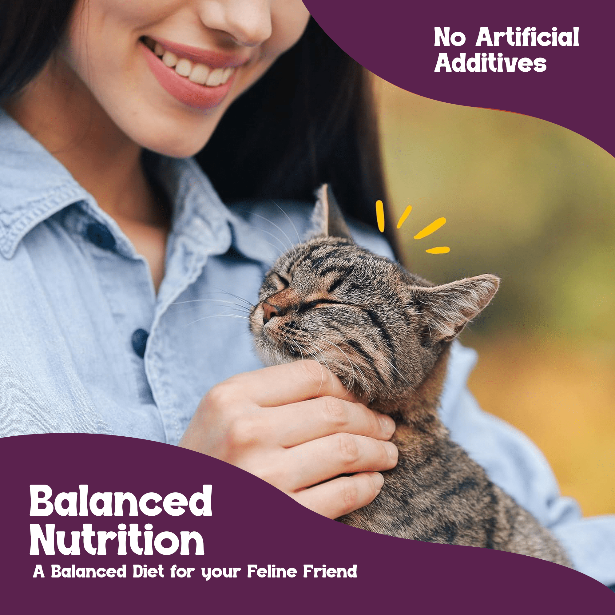 Beefeaters Turkey Liver Pate Cat Treats 5.5oz (24-Pack) – Adult Wet Food with Taurine, Premium Catfood Wet Food, No Artificial  Additives, Balanced Nutrition | Supports Immune System & Vision
