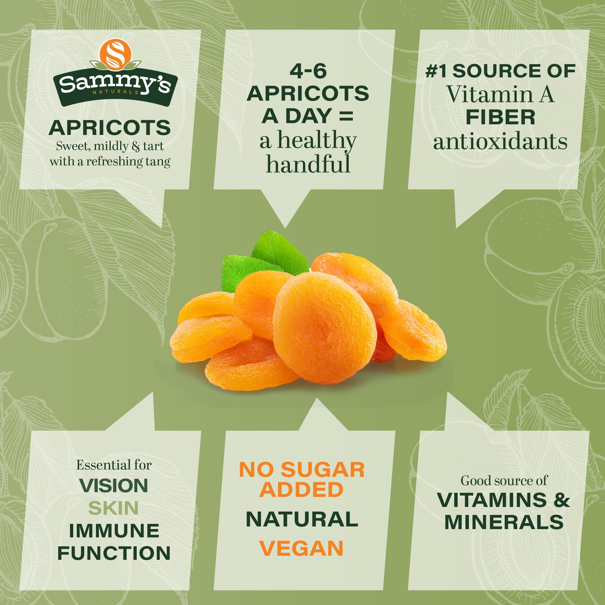 Sammys Naturals Turkish Sun-Dried Apricots, Pitted, No Sugar Added, Gluten-Free Vegan Kosher, Bulk Bag (32oz - 2 lb)
