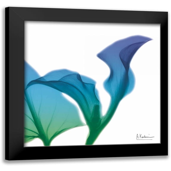Koetsier, Albert 12x12 Black Modern Framed Museum Art Print Titled - Calla Turq Indigo