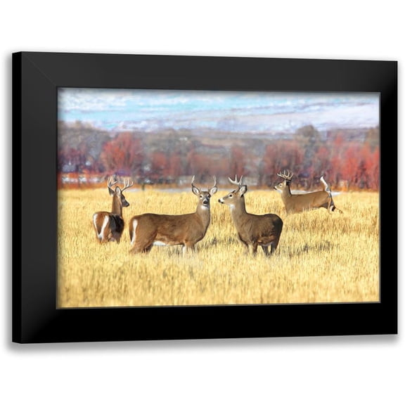 Schell, Jennie Marie 14x11 Black Modern Framed Museum Art Print Titled - Deer Bucks in Autumn Field
