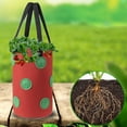 thumbnail image 3 of Travelwant Strawberry Grow Bags,13 Holes Plant Hanging Planters Tomato Planting Pots Thicken Breathable Plant Self Watering Spikes, 3 of 7