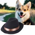 thumbnail image 3 of Pet Cowboy Costume Pet Hat Wide Brim Protect Skin Adjustable Funny Pet Dog Cat Western Cowboy Hat for Halloween Christmas Party, 3 of 8