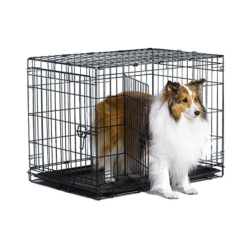 folding double door dog crate