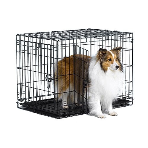 dog crates walmart canada