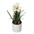 thumbnail image 5 of Vickerman 16.5" Artificial White Daffodil in Ceramic Pot., 5 of 5