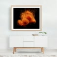 thumbnail image 5 of Jellyfish - Photography Marine Life Aquatic Abstract Surrealism Ocean Modern Art Minimalist Unframed Wall Art Print 36 x 48 inches, 5 of 6