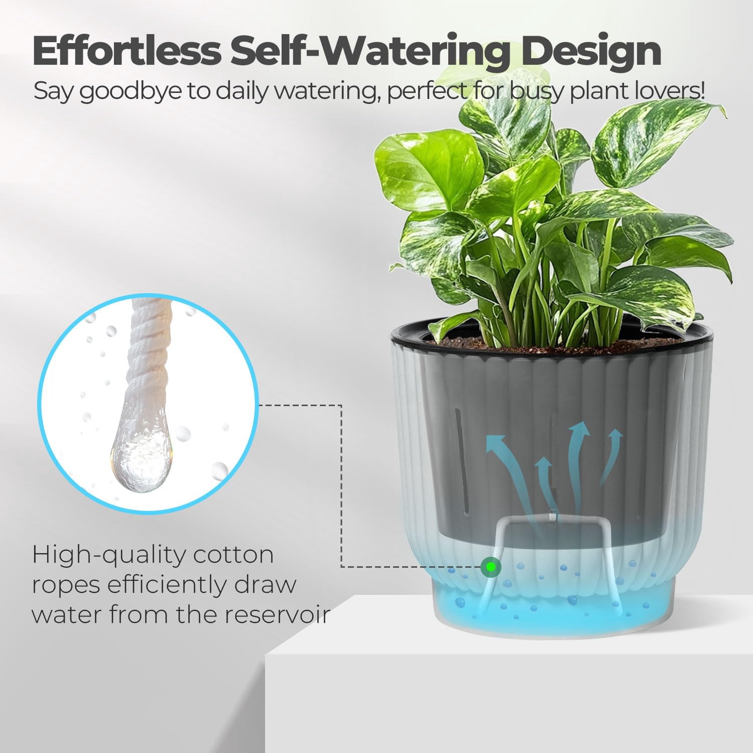 4 Inch Self Watering Plant Pots 6 Pack Small Indoor Planters for African Violets Succulents Durable White Plastic Gardening Containers