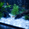 thumbnail image 6 of 50PCs Colorful Glow-in-the-Dark Garden Stones Night Guide Luminous Pebbles Rainbow Glow in the Dark Stepping Rocks Outdoor Landscaping Decor Glowing Stones Fish Tank DIY Aquarium Decorations, 6 of 6