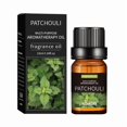 thumbnail image 1 of 20 Flavors Natural Essential Oils for Aroma Diffusers & Humidifiers, 10ml Water-Soluble Aromatherapy Fragrance Set for Home & Office Relaxation, 1 of 8