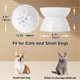 thumbnail image 3 of Comedero lento Kopmath Elevated para gatos y perros pequeños, 3 of 7