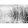 thumbnail image 2 of Lee Peterson 32x23 Gallery Wrapped Canvas Wall Art Titled - Reeds II, 2 of 4