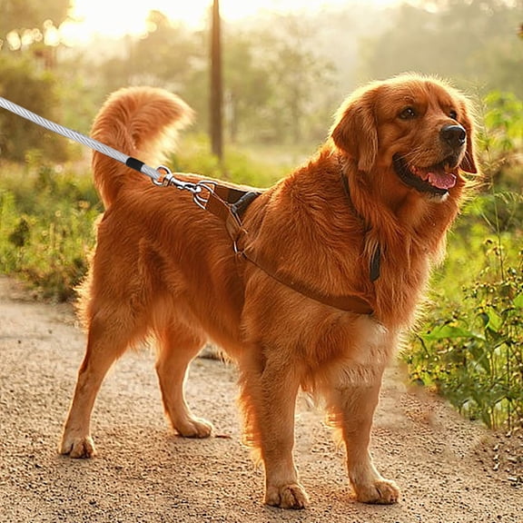 8m Heavy Duty Dog Tie Out Leash with Swivel Clips for Large Dogs Outdoor Camping Yard Durable Metal Chain Runner