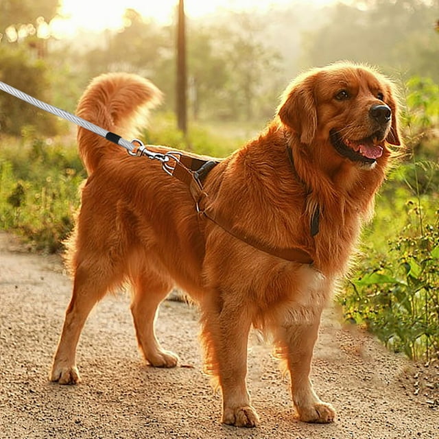 Dog Tie Out 8m Long Dog Leash With Swivel Clips Chains For Outside Yard Camping 1pc