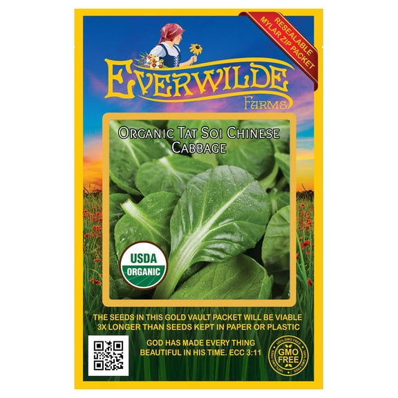 Everwilde Farms - 1000 Organic Tat Soi Chinese Cabbage Seeds - Gold Vault Jumbo Bulk Seed Packet