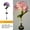 Style D, variant on Solar Hydrangea Garden Lights Waterproof Ground Inserted Flower Decorative Light for Yard, Landscape Lighting Solar Spot Light Outdoor Sway with The Wind Garden Decor