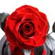 thumbnail image 3 of Kit de rosas de La Bella y la Bestia XCF rosa eterna en un vaso regalos románticos de cumpleaños para novias, 3 of 4