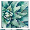 thumbnail image 1 of Cuadro Decorativo - Cuadrado de flor suculenta acuarela Jr Impresión en canvas, estrechado, 1 of 2