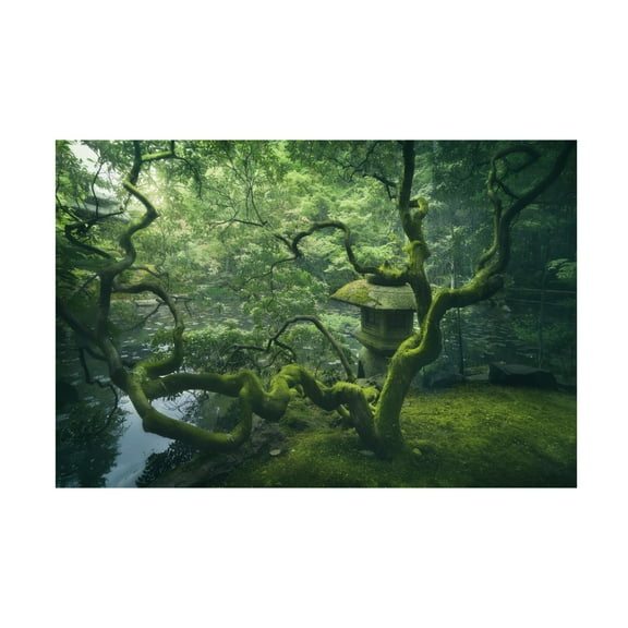 Canvas Wall Art - Javier De La 'Japanese Tree' Wall Art for Living Room, Bedroom, or Office Décor by Trademark Fine Art - 19 x 12 Inches