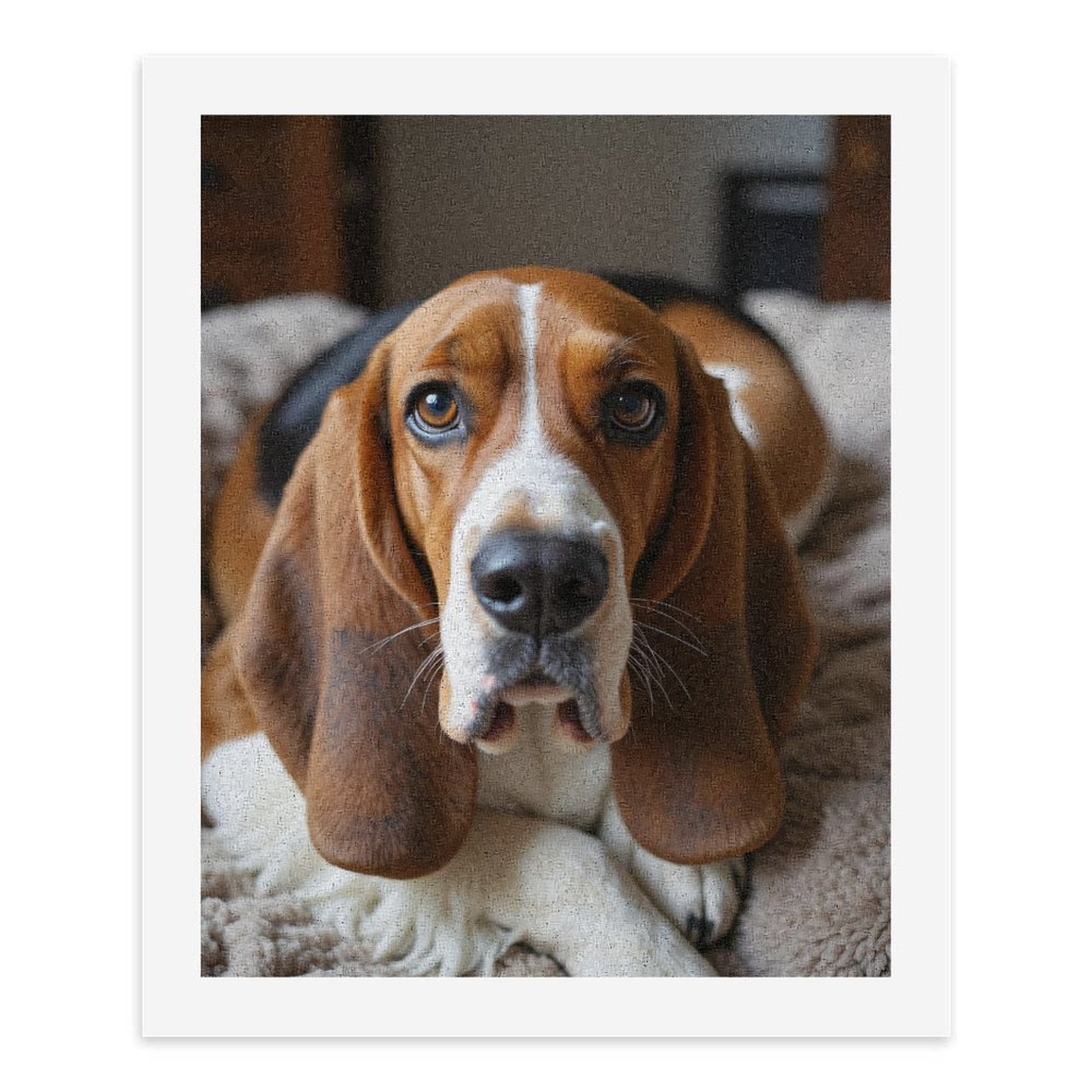 Paint by Numbers Kit for Adults, Basset Hound Dog Relaxing Home Paint by Numbers, Easy Paint by Numbers Kit for Adults Beginner, DIY Adult Paint by Number Kits on Canvas, Home Decor