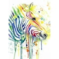 thumbnail image 2 of Jing, Jin 18x24 White Modern Wood Framed Museum Art Print Titled - Colorful Zebra, 2 of 4