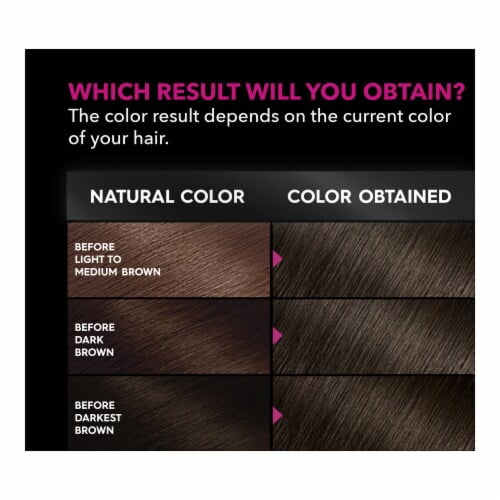 Garnier Hair Color Olia Ammonia-Free Brilliant Color Oil-Rich Permanent Hair Dye, 4.0 Dark Brown, 2 Count (Packaging May Vary)