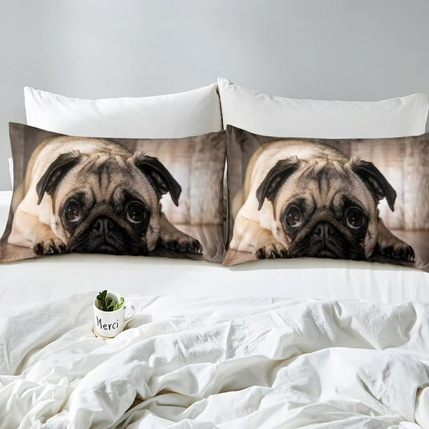 HHHC Cute Puppy Bed Sheet Set Twin Size Pug Soft Print Fitted Sheet Domestic Pet Sheets Set Funny Animal Flat Sheet 3D Dog Top Sheet Cute Fitted
