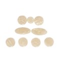 thumbnail image 1 of IFANLANDOR 9 Pcs Coussin Rond en Mica Blanc pour Saxophone Alto, 1 of 8