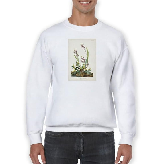 Field Sparrow Sweatshirt Men -John James Audubon Designs, Male 4X-Large