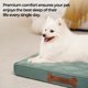 thumbnail image 3 of Dog Crate Pad, Dog Foam Crate Mat Kennel Pad, Washable Water-Resistant Pet Bed Flat Dogs Cage Mat for X-Large Dogs, 3 of 5