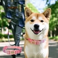 thumbnail image 2 of Custom Dog Collar with Name | Engraved Dog Collar | Matching Leash | Floral Nylon Dog Collar for Small Medium Large Dogs, Great Christmas Gift, 2 of 4