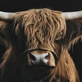 thumbnail image 3 of Bouclair Toile Encadrée Profil de Vache des Highlands Brune 48 X 24 Po (122 X 61 cm), 3 of 3