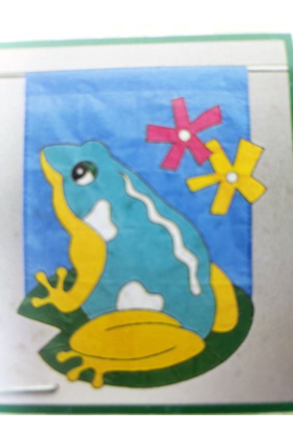 Frog Nylon Flag