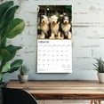 thumbnail image 5 of Old English Sheepdogs | 2026 12x24" (Hanging) Square Wall Calendar | BrownTrout, 5 of 9