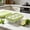 Green, variant on Divided Ice Storage Box Tray for Home Summer Freezer Ice Making Container