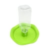 Green Plastic Water Dish Terrarium Reptile Tank Feeding Bowl for Reptiles