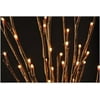 The Light Garden - ElectricCorded Willow Branch with 60 Incandescent Lights, 20"