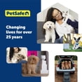 thumbnail image 2 of Dispensador Interactivo PetSafe Azules y Morados para Gatos, 2 of 6