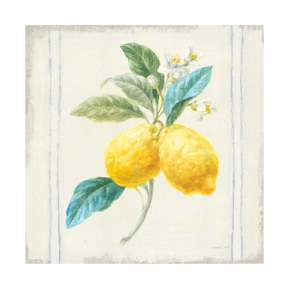 Trademark Fine Art 'Flour sack Lemons III Sq Navy' Canvas Art by Danhui Nai