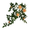 thumbnail image 4 of Enredadera Floral Macarena Rosa Chinensis 66 cm Naranja, 4 of 8