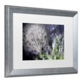 thumbnail image 3 of Trademark Fine Art "Morning Tale" Canvas Art by Beata Czyzowska Young, White Matte, Silver Frame, 3 of 4