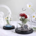 thumbnail image 4 of 1 bag Cloche Glass Dome 70x122mm Glass Bell Jar Display Case with Wooden Base Glass Domes Cloche Display Dome Decorative Glass Cloche Dome for Wedding Home Plants Christmas Party Favor Decor, 4 of 6