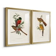 thumbnail image 2 of Wexford Home Elegant Trogons I Premium Framed Print, 30.5" x 42.5" - Ready to Hang, Gold (Set of 2), 2 of 9